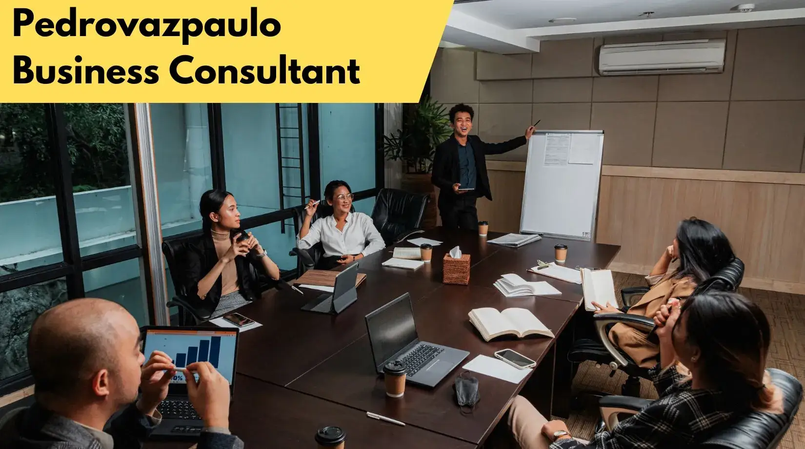 PedroVazPaulo Business Consultant